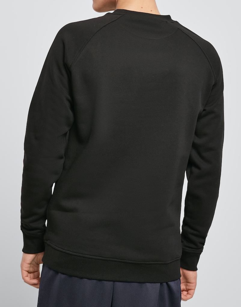 Raglan crewneck